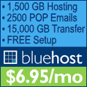 BlueHost Ecommerce Ranking