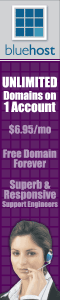 Newest 2008 BlueHost Coupons