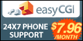 Top VPS Hosting