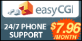 EasyCGI FTP
