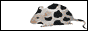 Fatcow
